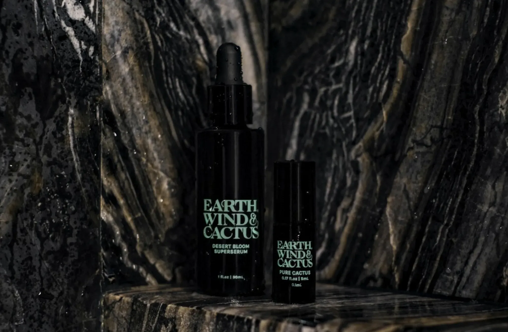 Earth, Wind & Cactus